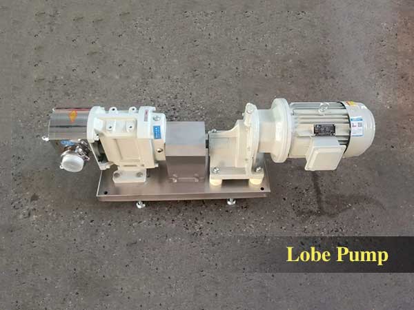 CAM rotor pump